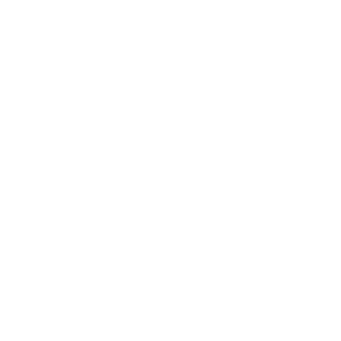 decorative floral symbols on transparent background, white patterns - Download Free Stock Videos Pikwizard.com