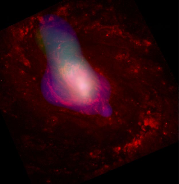 This composite image of the active galaxy NGC 1068 showcases the activity surrounding a central supermassive black hole. Captured by the Chandra X-Ray Observatory, it reveals high-speed winds blowing gas away and regions highlighted by both optical and x-ray emissions. Perfect for use in educational materials related to astrophysics, cosmology, and space exploration, as well as in scientific publications discussing galactic phenomena or X-ray astronomy.