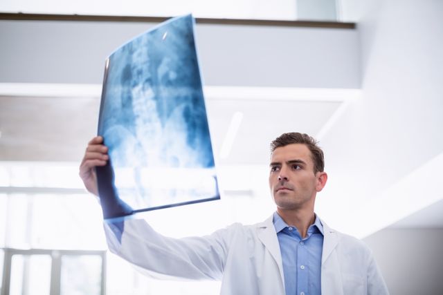 Doctor holding and examining an x-ray in a hospital environment. Useful for illustrating medical examinations, healthcare services, radiology, and professional medical practices.