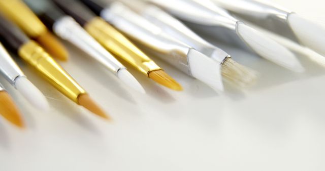 Close-up of Various Paintbrush Tips on White Surface - Download Free Stock Images Pikwizard.com