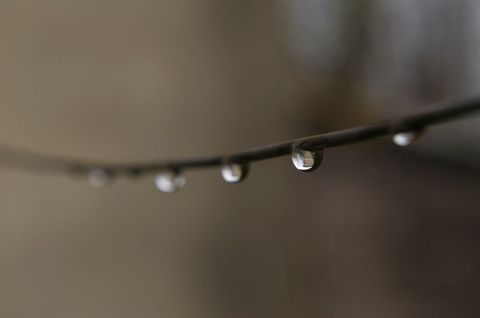 Close-Up of Raindrops on Wire