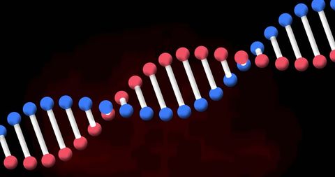 Rotating DNA Helix on Red and Black Background - Download Free Stock Images Pikwizard.com