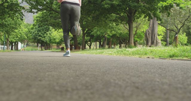 Active Woman Jogging on Park Trail Surrounded by Greenery - Download Free Stock Images Pikwizard.com