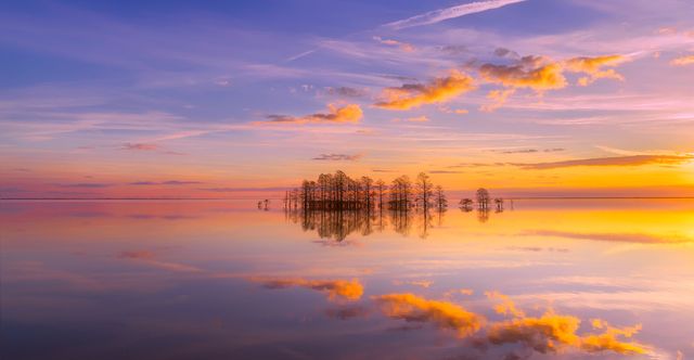 Golden Sunset over Calm Water with Tree Reflections - Download Free Stock Photos Pikwizard.com