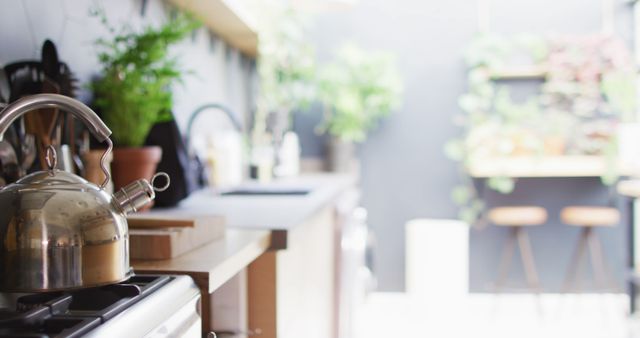Image of kettle on hob in sunny, modern kitchen with lots of plants and dark grey walls. Interior decor, tranquility and domestic life.