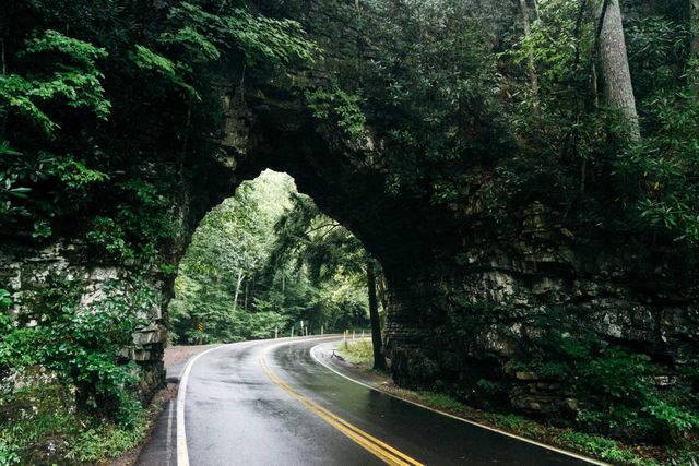 Scenic Winding Road Through Natural Rock Tunnel in Forest - Download Free Stock Photos Pikwizard.com