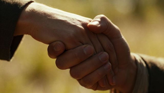 Close-up two hands holding with firm grip bathed in warm sunlight in meadow