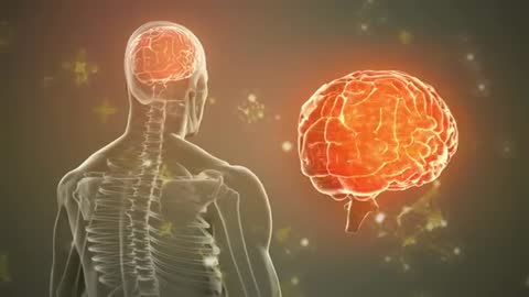 Rotating Skeleton with glowing Brain Illustration in Futuristic Visualization