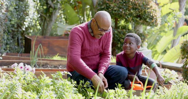 Grandfather and Grandson Gardening Together on Sunny Day - Download Free Stock Images Pikwizard.com