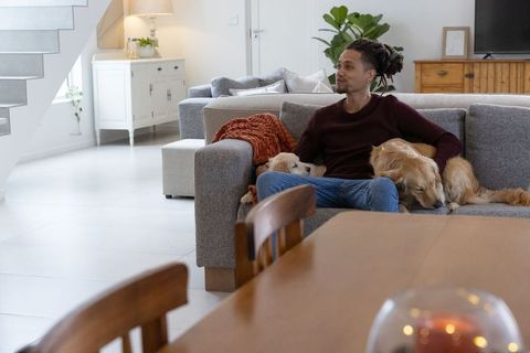 Relaxing with golden retrievers on modern grey sofa in bright minimalist living room