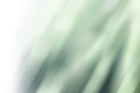 translucent green abstract design on transparent canvas - Download Free Stock Videos Pikwizard.com