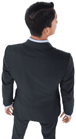 Back View Biracial Businessman Standing Transparent Background