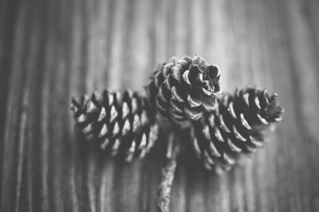 A close-up of three pine cones on a wooden surface, presented in a black and white filter. Ideal for nature-themed projects, autumn or fall decor ideas, minimalistic designs, and backgrounds. Suitable for blogs, environmental campaigns, and creative presentations.
