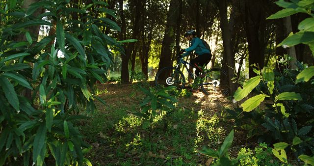 Mountain Biker Riding Through Sunlit Forest Trail - Download Free Stock Images Pikwizard.com