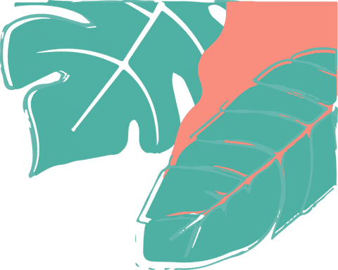 botanical monstera and banana leaves with coral accent on transparent background - Download Free Stock Videos Pikwizard.com