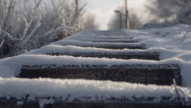 Frost-covered wooden steps leading up snowy trail, frost crystals and morning light