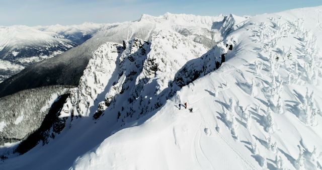 Skiers standing on a snow capped mountain during winter 4k