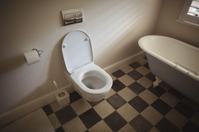 Interior view of modern and luxurious toilet 