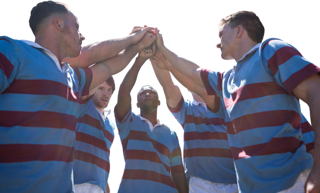 Team of Diverse Male Rugby Players Cheering with Hands In, Transparent Background - Download Free Stock Videos Pikwizard.com