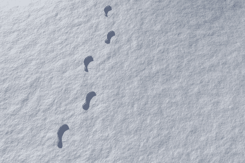 footprints imprinted in transparent white snow with copy space - Download Free Stock Videos Pikwizard.com