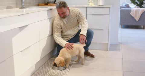 Mature man kneeling petting puppy feeding from bowl in modern white kitchen