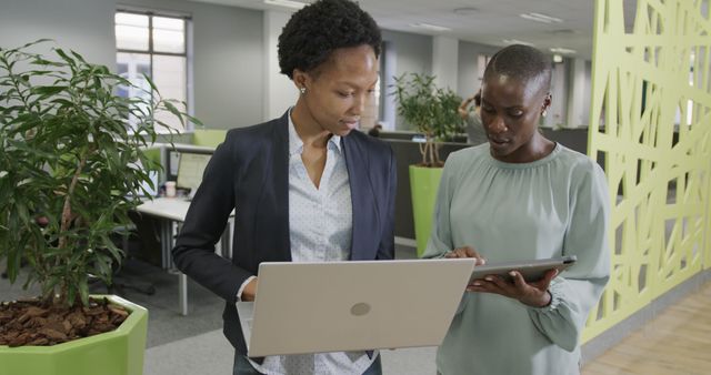 Two African Businesswomen Discussing Project in Modern Office - Download Free Stock Images Pikwizard.com