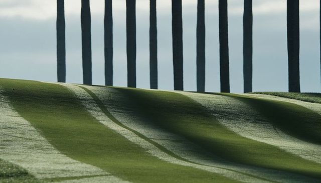 Undulating turf casting long striped shadows with tall poles against cloudy sky