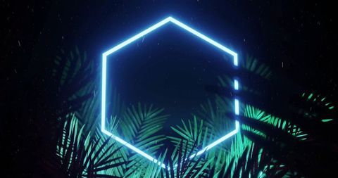 Neon hexagon frame with neon lit leaves on dark background