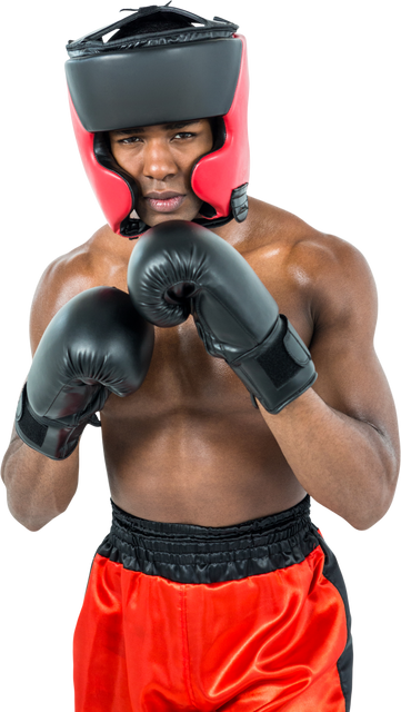 Young Boxer in Red Shorts and Headgear in Boxing Stance on Transparent Background - Download Free Stock Videos Pikwizard.com