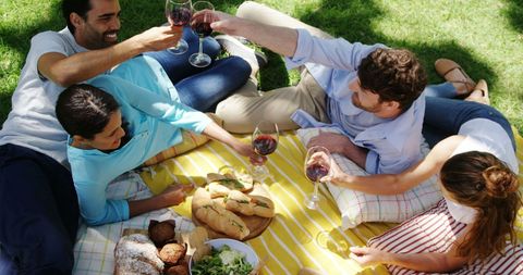 Group of Friends Cheerfully Toasting during Picnic Outdoors