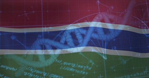 DNA Strands on Gambia Flag with Molecular Models