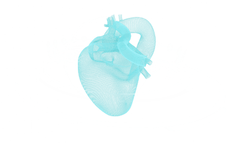 Transparent Heart Scan Digital Illustration with Scanning Scopes - Download Free Stock Videos Pikwizard.com