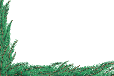 transparent christmas pine tree branch frame - Download Free Stock Videos Pikwizard.com