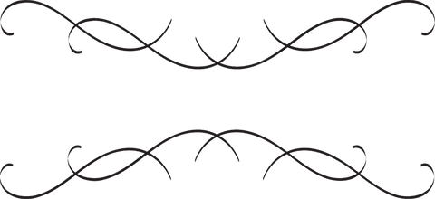 Elegant Abstract Black Curves on Transparent Background - Download Free Stock Videos Pikwizard.com