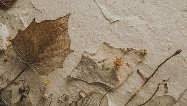 Displaying dried leaves and botanical still life on textured parchment for rustic decor