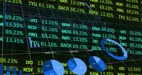 Dynamic Financial Data Visualization with Charts and Graphs