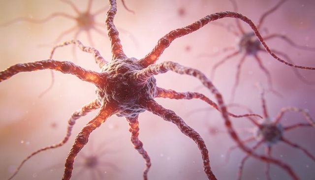 Glowing neuron network radiating dendrites and axons with soft bokeh and microscopic detail
