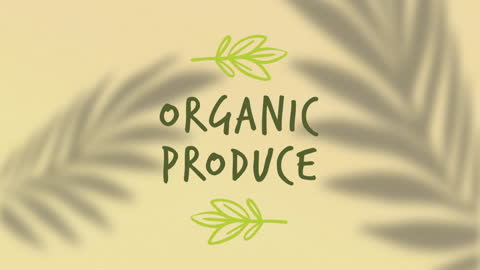 Leaf Shadows with Organic Produce Text on Cream Background