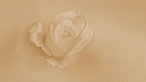 Embossed rose emerging from sand textured backdrop