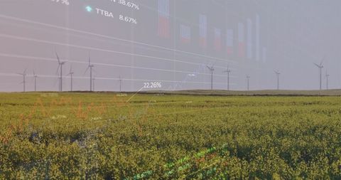 Wind Energy and Data Visualization Over Yellow Flowering Field
