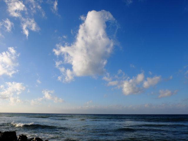 Serene Ocean Horizon and Blue Sky with Puffy White Clouds - Download Free Stock Photos Pikwizard.com