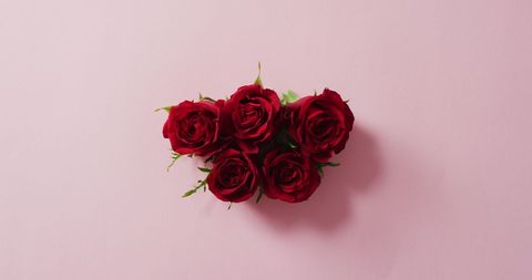 Red Rose Bouquet on Soft Pink Background for Valentine's Day - Download Free Stock Images Pikwizard.com
