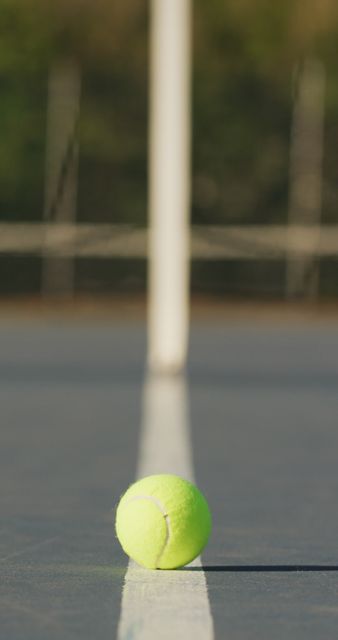 Tennis Ball on Court Line Under Sunlight, Vertical Frame - Download Free Stock Images Pikwizard.com