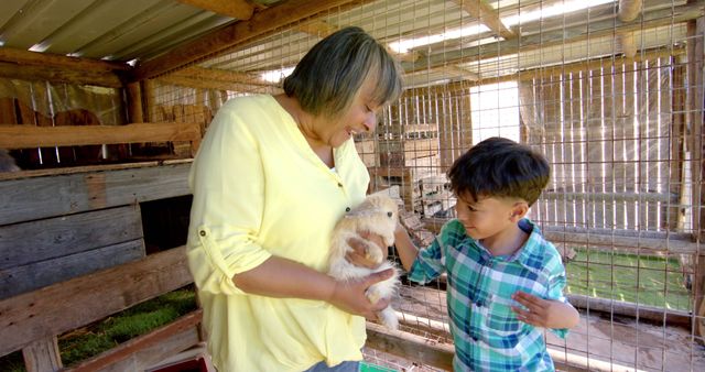 Grandmother wearing yellow shirt holding rabbit while grandson in blue plaid shirt is petting it. They are standing in farmyard area filled with animal cages. Image captures tender family moment and rural lifestyle. Ideal for content about family bonding, pet care, rural life, intergenerational relationships.