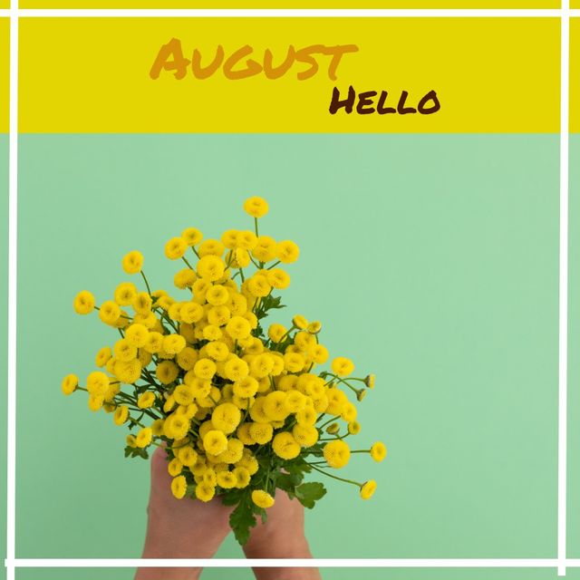 Hello august text banner over close up of hand holding a bunch of yellow flowers. summer and spring season concept