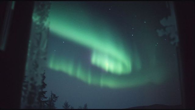 Breathtaking Aurora Display Over Forest Silhouettes
