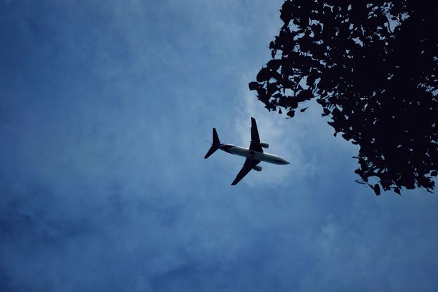 Commercial airplane flying high in a clear blue sky with clouds, viewed from the ground next to tree leaves in silhouette. Ideal for themes related to travel, aviation, transportation, exploration, global travel, adventure, and outdoors.