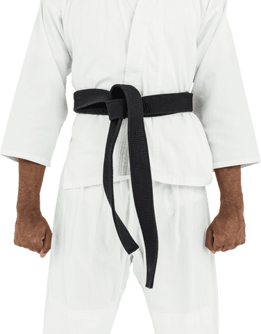transparent karate athlete midsection black belt - Download Free Stock Videos Pikwizard.com