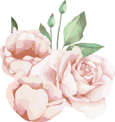 Elegant Pastel Pink Roses Illustration with Transparent Background