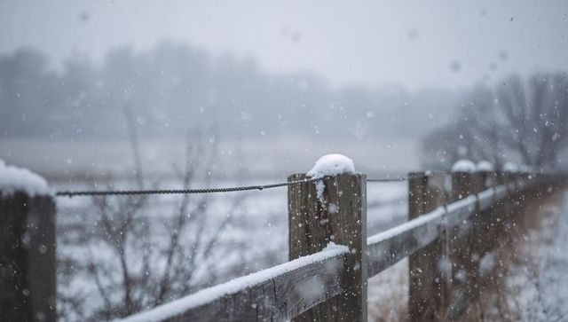 Snow-dusted Wooden Fence Leading Through Misty Rural Field During Gentle Snowfall